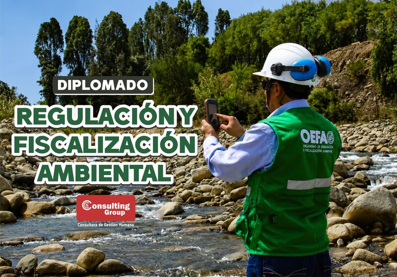 REGULACIÓN Y FISCALIZACIÓN AMBIENTAL